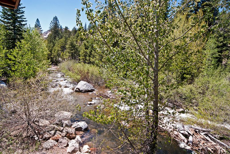 Creekside at Alpine Meadows, a cabin for rent in